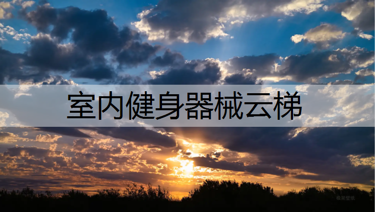 室内健身器械云梯
