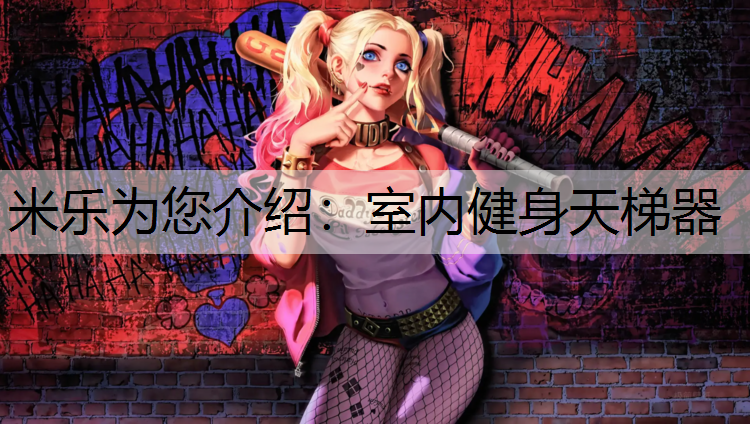 米乐为您介绍：室内健身天梯器