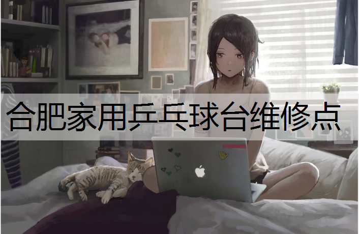 合肥家用乒乓球台维修点