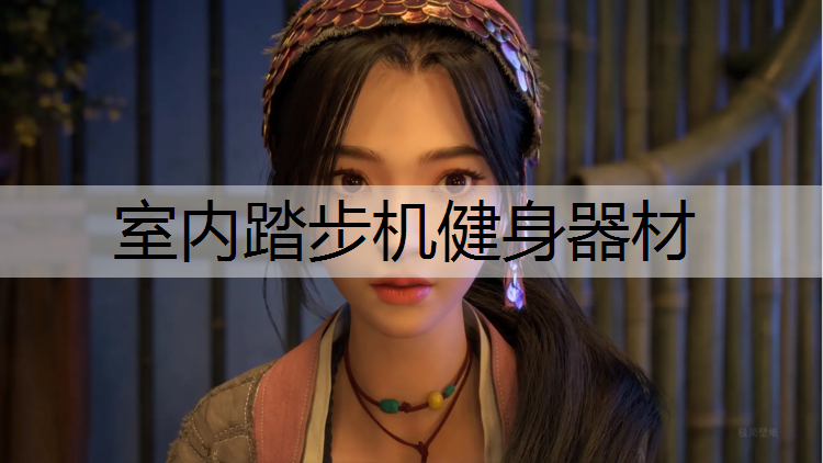 室内踏步机健身器材