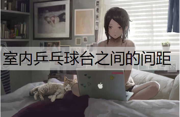 室内乒乓球台之间的间距
