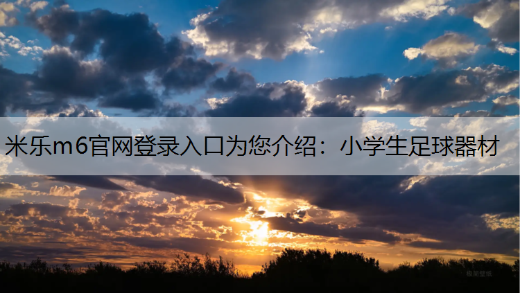 米乐m6官网登录入口为您介绍：小学生足球器材
