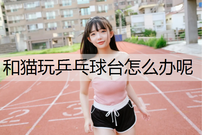 和猫玩乒乓球台怎么办呢