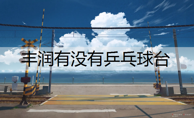 丰润有没有乒乓球台
